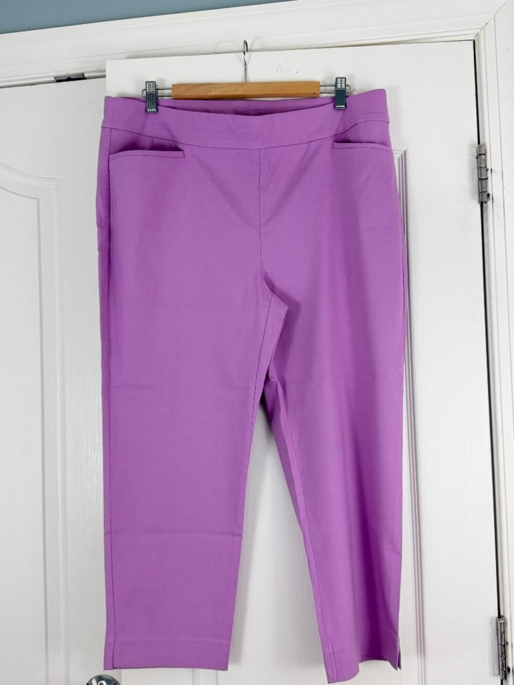 Chico's Pants Size 3 (16) Lavender 3036